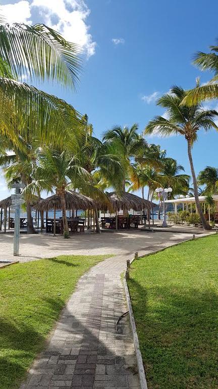 Les Malouines Studios Baie Nettlé Extérieur photo